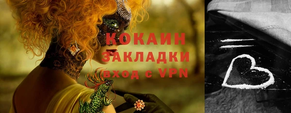 МДПВ Каменка