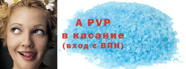 стаф Каменск-Шахтинский