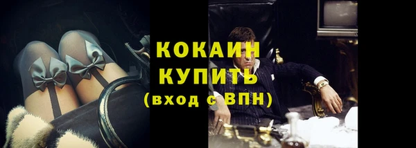 МДПВ Каменка