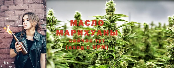 МДПВ Каменка
