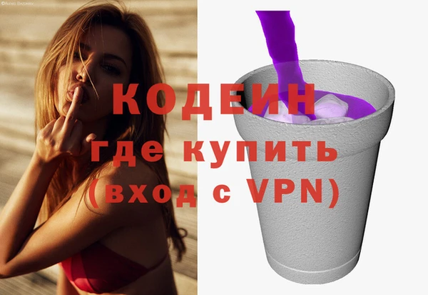 стаф Каменск-Шахтинский