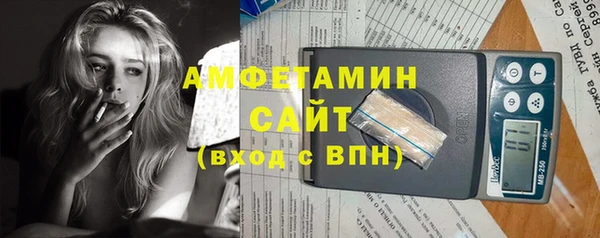 МДПВ Каменка