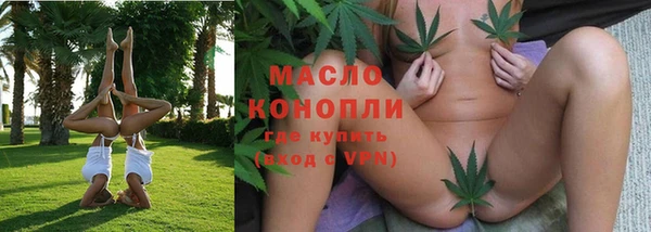 МДПВ Каменка