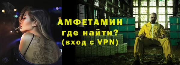 МДПВ Каменка