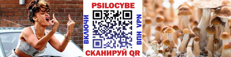 Псилоцибиновые грибы ЛСД  где продают наркотики  Киржач 