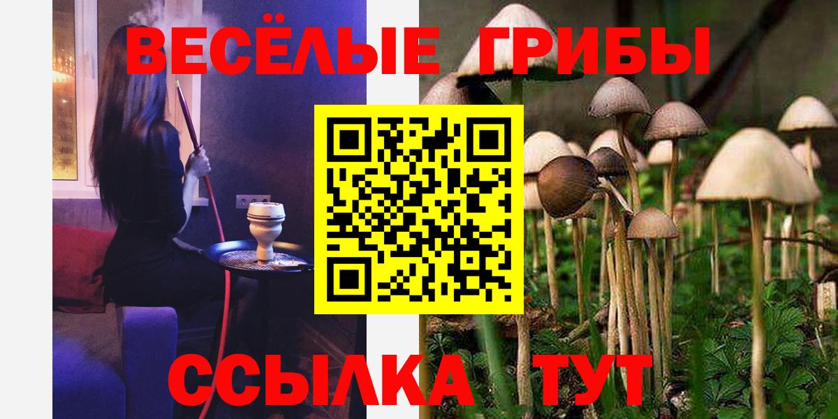 Псилоцибиновые грибы мухоморы  Вход с VPN  Киржач 