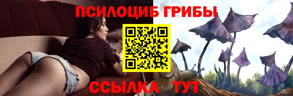 Галлюциногенные грибы MAGIC MUSHROOMS Киржач