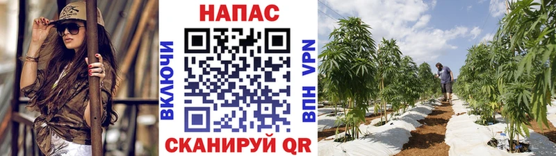Марихуана Bruce Banner  наркошоп  Киржач 
